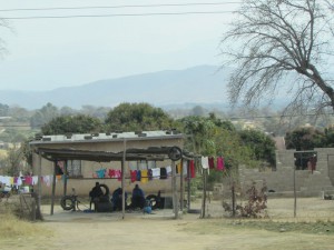 IMG_1812